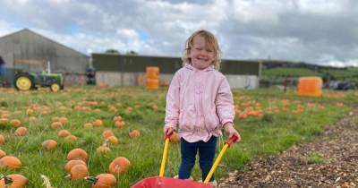 Everything you need to know if you want to go pumpkin picking this weekend - www.manchestereveningnews.co.uk - Manchester
