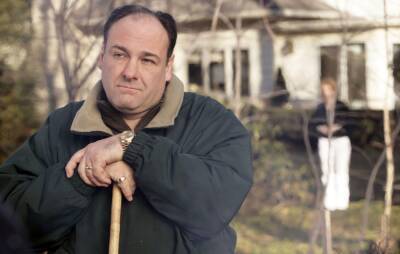 James Gandolfini protected ‘The Sopranos’ actor from filming nude scene against his wishes - www.nme.com