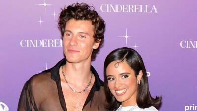 Shawn Mendes Camila Cabello Split After 2 Years Of Dating: We ‘Continue To Be Best Friends’ - hollywoodlife.com