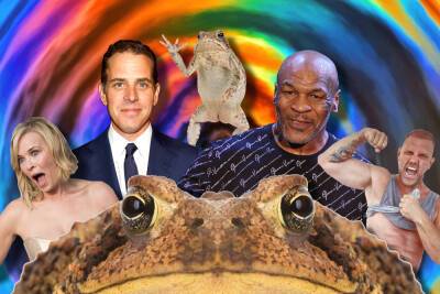 All the celebrities who ‘died’ from smoking toad venom: Mike Tyson, Chelsea Handler and more - nypost.com