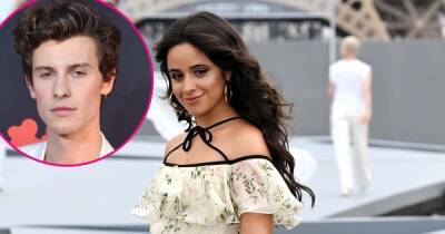 Camila Cabello Cuddles With Puppies, Says She Has a ‘Lot to Be Thankful for’ After Shawn Mendes Split - www.usmagazine.com