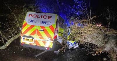 Miracle escape for officers as tree comes down crushing police van amid storms in Scots village - www.dailyrecord.co.uk - Scotland