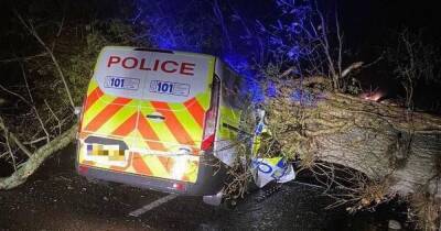Scot dies after falling tree hits car and responding police van also crushed - www.dailyrecord.co.uk - Scotland