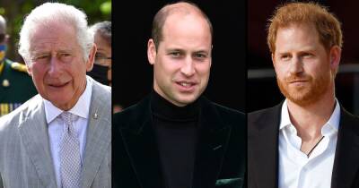 Prince Charles, Prince William Told Prince Harry He Was Too ‘Sensitive’ About Alleged Comment About Skin Color, Author Claims - www.usmagazine.com - county Charles