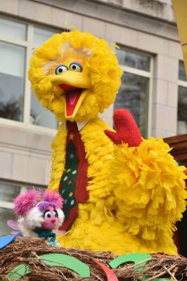 Big Bird Gets The COVID-19 Vaccine, Joins Sesame Street Town Hall On Vaccines For Kids - etcanada.com - county Hall