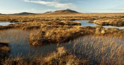 Scots rocket site approved by government despite fears it will destroy precious peat bogs - www.dailyrecord.co.uk - Scotland - county Highlands