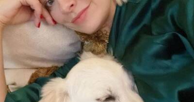 Holly Willoughby makes glam start to Christmas break as she cuddles up to dog in bed - www.ok.co.uk
