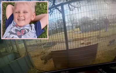 4-Year-Old Boy's Arm Torn Off While Petting Pit Bull Puppies - perezhilton.com - Oklahoma