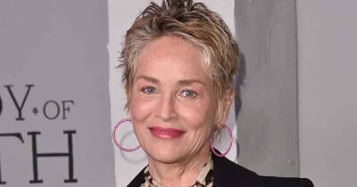 Sharon Stone commands attention in daring sheer dress - www.msn.com - county Stone