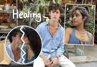Camila Cabello Shows Support For Ex Shawn Mendes' Breakup Song It’ll Be Okay -- Listen HERE! - perezhilton.com