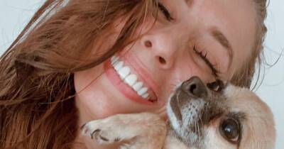 Stacey Solomon says she feels 'sad and guilty' after death of beloved dog Theo - www.dailyrecord.co.uk