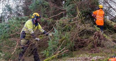 Power restored to all homes affected by Storm Arwen, SSEN says - www.dailyrecord.co.uk - Scotland