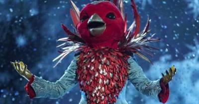 The Masked Singer final - Sausage, Robin and Badger identity clues and bookies' odds - www.msn.com
