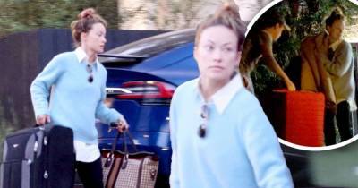 Olivia Wilde officially moves her belongings out - www.msn.com