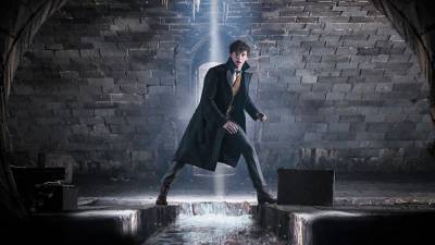 Warner Bros. Suspends ‘Fantastic Beasts 3’ Shoot After Crew Member Tests Positive For COVID-19 - variety.com