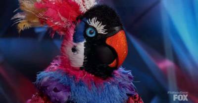 The Masked Dancer unveils Exotic Bird as American Idol winner Jordin Sparks - www.msn.com - USA