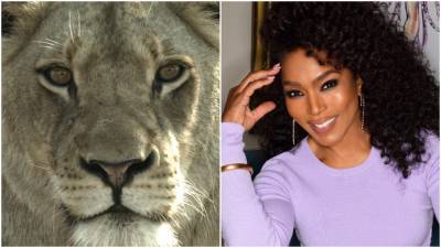 Angela Bassett To Narrate Wildlife Special ‘Malika The Lion Queen’ For Fox As Network Moves Into Natural History - deadline.com - Britain - South Africa