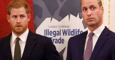 Prince William 'concerned' private conversations with Prince Harry will be 'plastered over American TV' - www.ok.co.uk - USA