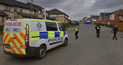 Record Rundown: Everything you need to know this lunchtime from sick Scots puppy trader to bodies found in Scots home - www.dailyrecord.co.uk - Scotland