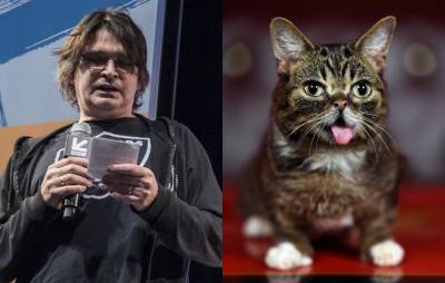 Steve Albini pays tribute to Lil Bub in new book celebrating internet-famous cat’s musical legacy - www.nme.com - Chicago