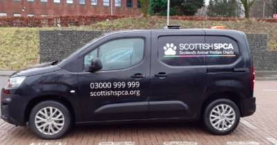 Cat found dead in trap as Scots animal welfare chiefs launch probe - www.dailyrecord.co.uk - Scotland