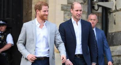 Prince Harry and Prince William's royal rift to end because of their late mother Princess Diana? FIND OUT - www.pinkvilla.com