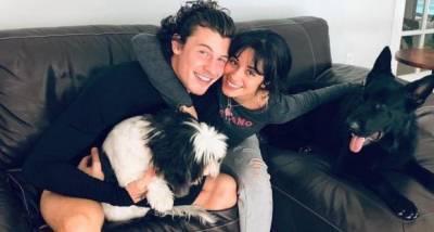 When birthday girl Camila Cabello spoke on dating Shawn Mendes: Being in love is ultimate artistic inspiration - www.pinkvilla.com - city Havana