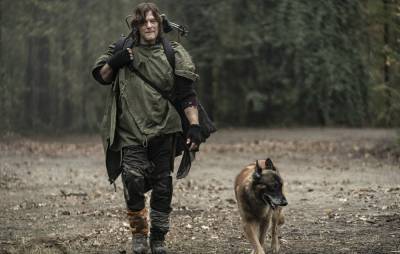 ‘The Walking Dead’: Daryl’s dog’s origin story has been revealed - www.nme.com
