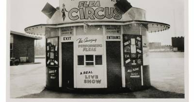 UK's only surviving flea circus from Belle Vue up for sale in auction - www.manchestereveningnews.co.uk - Britain - Manchester