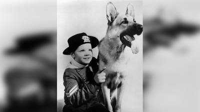 Lee Aaker Dies: ‘Adventures Of Rin Tin Tin’ Child Star Was 77 - deadline.com - India - Arizona
