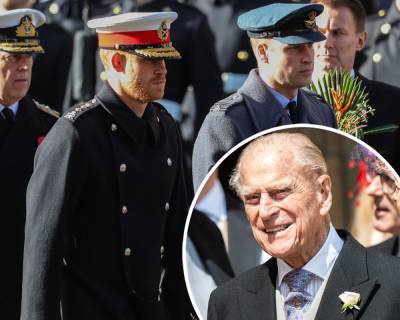 Prince Harry & Prince William Reunite For The First Time In Over A Year At Prince Philip’s Funeral - perezhilton.com