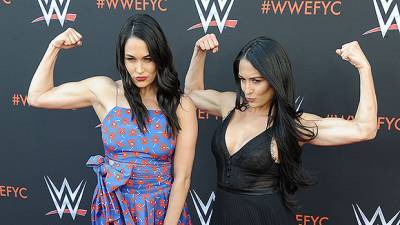 Nikki Brie Bella’s Return To The WWE: When They Plan To Get Back In The Ring After Giving Birth - hollywoodlife.com