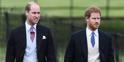 Prince Harry & Prince William's Family Friend Speaks Out About Their Reunion - www.justjared.com