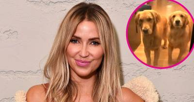 Kaitlyn Bristowe’s Dogs Have the Sweetest Reaction to Her Returning From Filming ‘The Bachelorette’ - www.usmagazine.com - Nashville