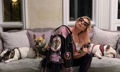Lady Gaga dognapping and shooting: 5 arrested including the woman who returned the French bulldogs - us.hola.com - France
