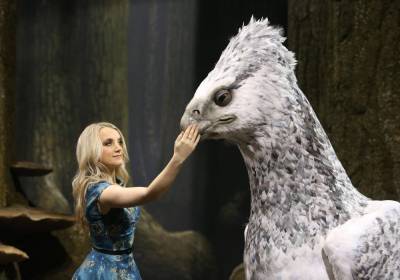 ‘Harry Potter’ Star Evanna Lynch Joins Lawsuit To Protect Owls From Fatal Experiments - etcanada.com
