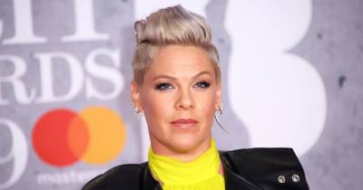 Pink Explains Why Motherhood Wasn’t on Her To-Do List Before Welcoming Willow and Jameson - www.usmagazine.com