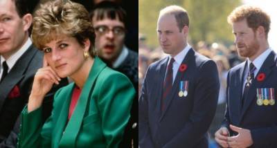 Prince William, Prince Harry REACT to BBC's 'deceitful' interview of mum Diana; See FULL statements - www.pinkvilla.com