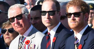 Prince William 'very shocked' at brother Harry's comments about 'his own flesh and blood' - www.msn.com - Britain