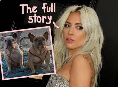 Lady GaGa’s Dog Walker Tailed By Suspects -- New Details On Infamous Dognapping - perezhilton.com - county Lafayette