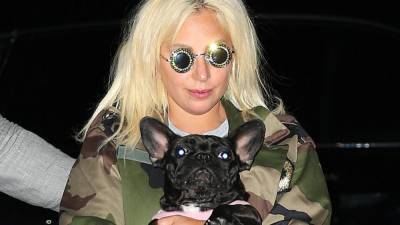 Lady Gaga Is 'So Happy' to Have Her Dogs Back, Source Says - www.etonline.com - Los Angeles