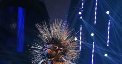 The Masked Singer US unveils Robopine as Fast & Furious star - www.msn.com - USA - Russia