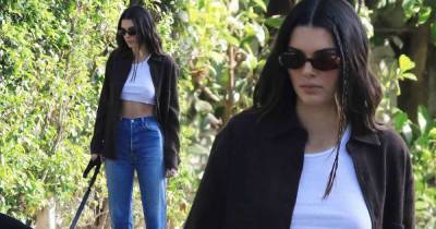 Kendall Jenner takes her dog Pyro out for a walk around Beverly Hills - www.msn.com - Beverly Hills