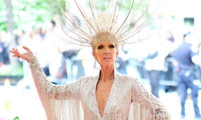 Celine Dion delights fans with beautiful Pride post - hellomagazine.com