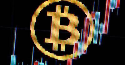 Bitcoin price news – live: ‘Dead cat bounce’ pattern divides crypto market analyst - www.msn.com