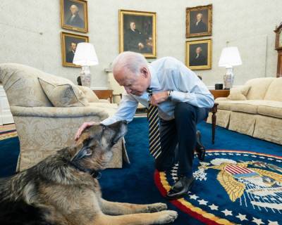 President Joe Biden Mourns Death Of ‘Beloved’ Dog Champ: ‘Will Miss Him Always’ - etcanada.com - Germany - county Will