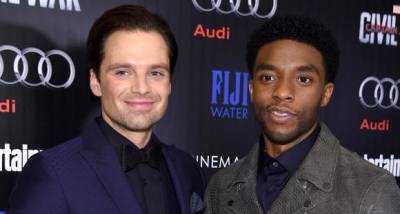 Sebastian Stan REVEALS he'd 'always hoped' to work with Chadwick Boseman again in the Black Panther universe - www.pinkvilla.com