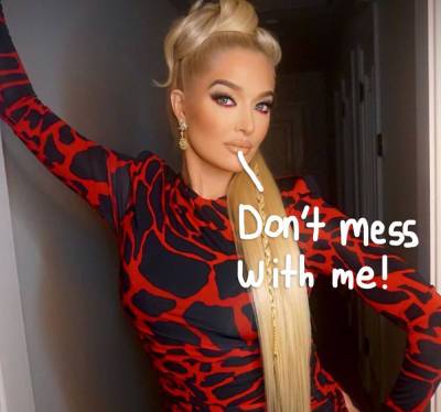 Erika Jayne Slams Bankruptcy Lawyer For Making ‘Vicious’ Claims About Her On Social Media! - perezhilton.com