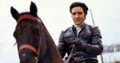 Elvis Presley punched his horse after it ran wild during a date with Priscilla - www.msn.com