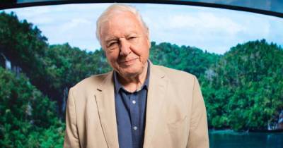 When is David Attenborough's Breaking Boundaries: The Science of Our Planet Netflix release date? - www.manchestereveningnews.co.uk - Manchester
